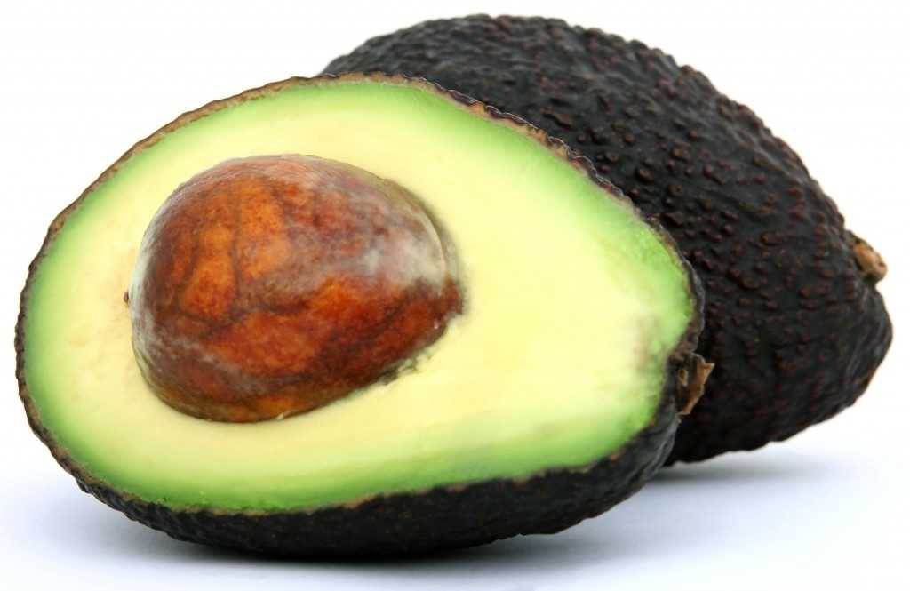 Avocado_optimized