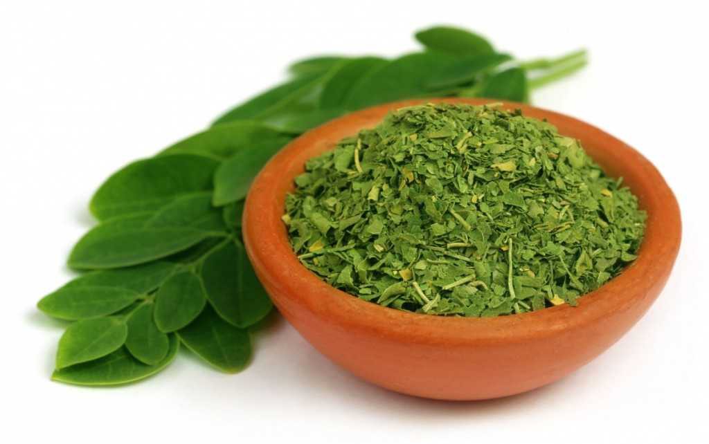 Moringa_optimized